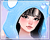 Little bear hood