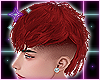 Mullet |Strawberry|