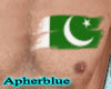 [AB]Pakistan Flag Tattoo