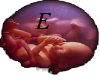 ETE TWINS N THE WOMB 629