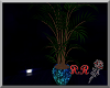 blue club plant