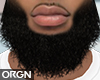 OG_Brushy beard