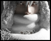 5C ELVOLVENT SCARF WHITE