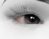 Brown eyes