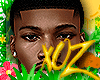 xOz Tre Taper Cut '25