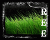 -ȵ- Grass Enhancer