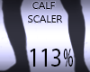 Calf Width Size 113%