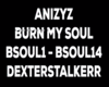 ANIZYZ - Burn My Soul