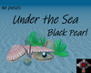 BR)Black Pearl(UTS)