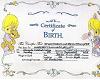 Becca Baby Certificate