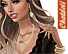 C]Gold Set