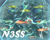 _COBALT Aquarium_