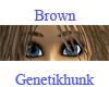 Brown Female Eyebrows