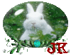 Rabbit Snowglobe 01