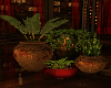 Plants Elite apartmens