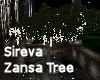 Sireva Zansa Tree 
