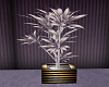 Light Lavender Plant