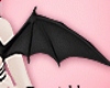 Small Bat Wings