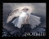 Angel Picture