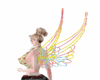 Rainbow barbie wings