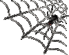 Spider2(Animated)