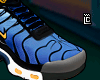 M| TN shoes"