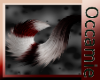 Conquest  Red Tail