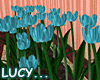 ~LC~ Blue Tulip