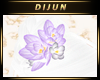 D.H. Lilac Lotus