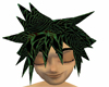 Green/Black Web Sora