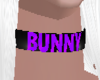 [FS] Bunny 2