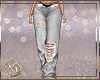 ℳ▸Sol Cargos