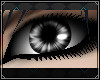 ☪Silver Gaze