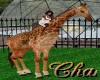 Cha`Zoo Ani Giraffe