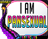 💖 I am Pansexual