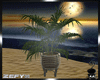 Z3D🐾 Bamboo Pot Palm