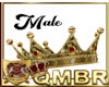 QMBR Crown Multi Gold M