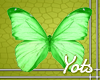 Green Butterfly Wings