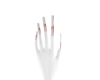 𝒫𝐹. Pardon Cherry
