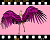 [MsB]Anim pink Wings