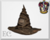 EC| Sorting Hat Badge