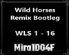 Wild Horses trance remix