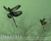 Dragonflies Animated