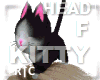 R|C Kitty On Head F