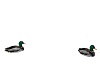 Beach Ducks Animated