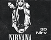 3D Nirvana