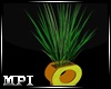 60s retro plant