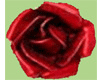 ~81~ Red Rose Pendant 2