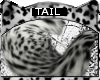 Snow Leopard * Tail V2