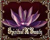 Meditation Lotus Flower